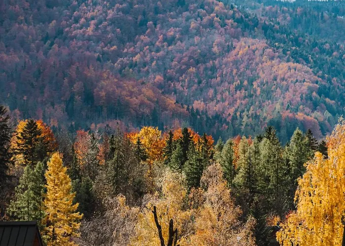 Appartamento Antalowka